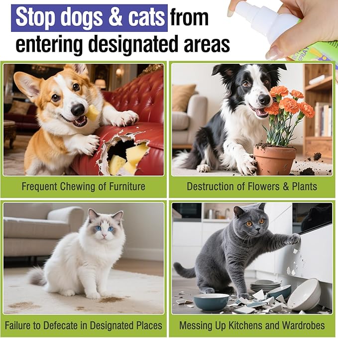 Cat Deterrent Spray for Peeing - Effective Dog Deterrent Spray Urine & Pee Corrector for Furniture, Yard, Shoes, Indoor and Outdoor Training Spray, Non Stain & Safe Ingredients for Pets 4oz(120 ml)