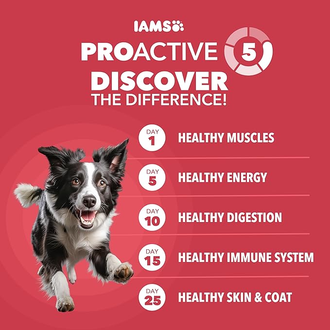IAMS Proactive Health Minichunks Adult Dry Dog Food with Lamb & Rice, 15 lb. Bag