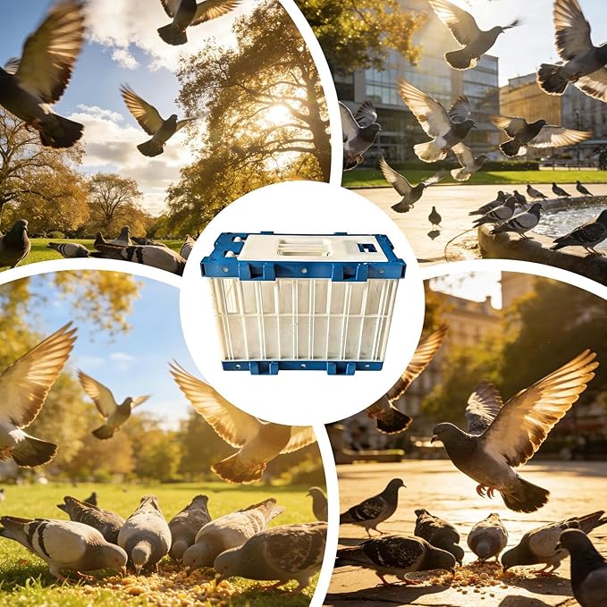 Pigeon Cage, Pigeon Travel Carrier, 32x15x22.5cm, Breathable Bird Cage with Lock, Professional Racing Crate, Training Transport Box, for Parakeet Release Competition Outdoor