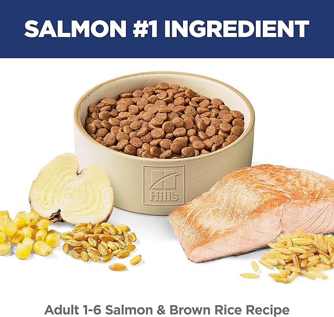 Hill's Science Diet Adult 1-6, Adult 1-6 Premium Nutrition, Dry Cat Food, Salmon & Brown Rice, 6.5 lb Bag