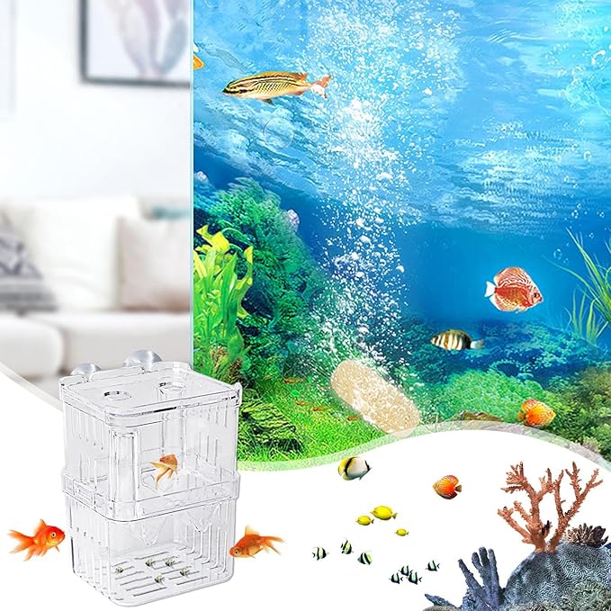 Fish Breeding Box - 20.5*9.5*9.9cm Acrylic Hatchery Incubator Tank Fish Tank Divider | Fishes Tanks Incubator Breeding Box | Aquarium Breeder BoxFish Acclimation Boxes Nursery For Injured Hatchery Inc