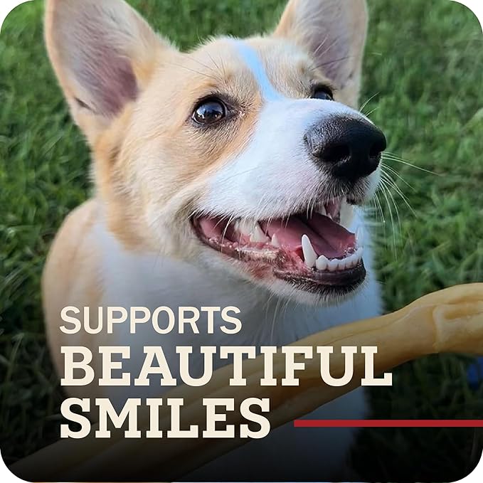 Redbarn Pet Products Natural Large Collagen Sticks for Dogs - Long Lasting Alternative to Traditional Rawhide & Bully - Supports Joint, Skin, & Coat Health - Case of 35