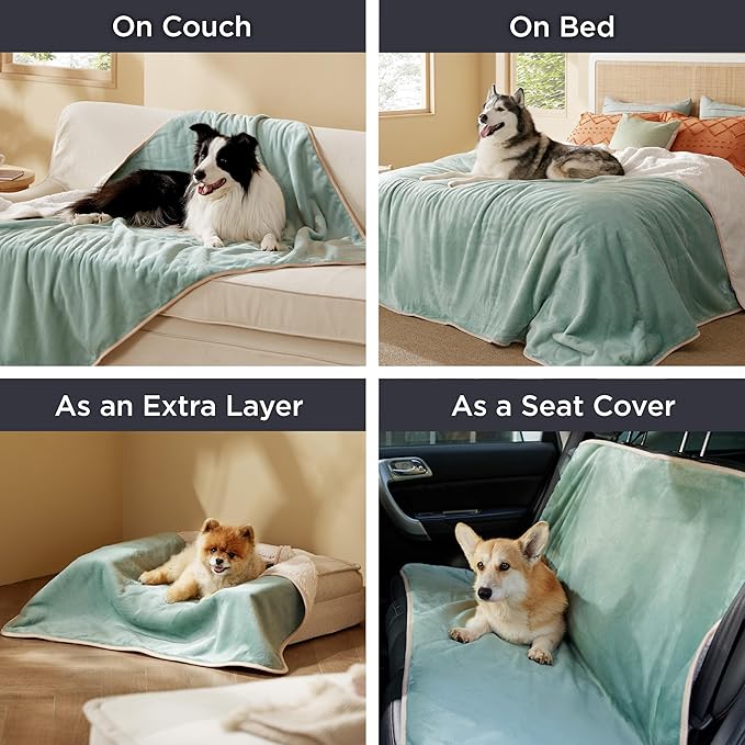 Bedsure Waterproof Dog Blankets for Small Dogs - Small Cat Blanket Washable for Couch Protection, Sherpa Fleece Puppy Blanket, Soft Plush Reversible Throw Furniture Protector, 25"X35", Light Green