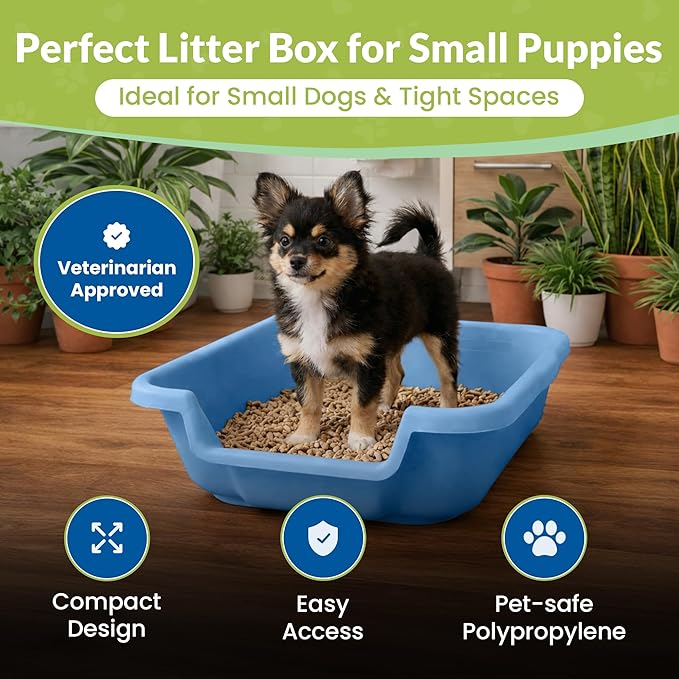 Dog Litter Box, Blue Color, Small Size, Durable & Pet Safe Puppy Litter Box, Indoor Open Top Entry Dog Litter Pan, Comfortable for Dogs, Great for Small Dogs up to 6 lbs