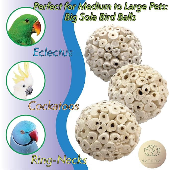 4999 Pk1 Big Sola Ball Foraging Toy for Birds - Natural Shreddable Chew Ball for Parrots, Cockatoos, Parakeets, Budgies, and Small Pets - Enrichment and Play Foot Toy for Cages - Safe and Fun
