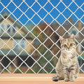 Cat Balcony Net, Large Cat Netting Pet Anti-Fall Safety Netting White Nylon Dogs Cats Climbing Net Pet Mesh Fence for Balcony, Stair, Window, Outdoors (10x3.3ft)