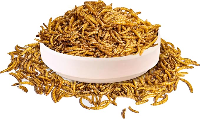 600g Dried Mealworms Treat for Chicken, 100% Natural Non-GMO High Protein Organic Chicken Feed for Birds, Ducks, Layer Hens