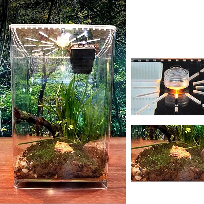 Acrylic Clear Reptile Terrarium Enclosure Cage, Reptile Breeding Box Lizard Spider Tank Climbing Pet Box with LED Light
