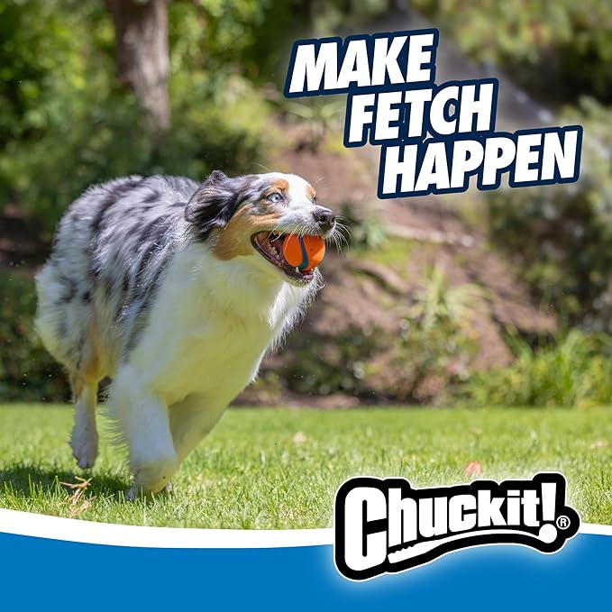 Chuckit! Dog Balls - Interactive Dog Toys, High-Bounce Fetch Ball, Ultra and Rugged Balls, Durable - Size Medium, 2.5-inch Diameter, Set of 3