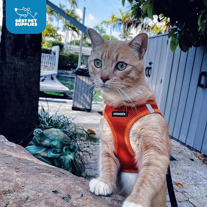 Best Pet Supplies Voyager Step-in Air Harness - All Weather Mesh, Reflective, No Pull Harness for Dogs, Cats - Secure with Hook & Loop Fastener, Buckle, Double D-Rings - Orange, L