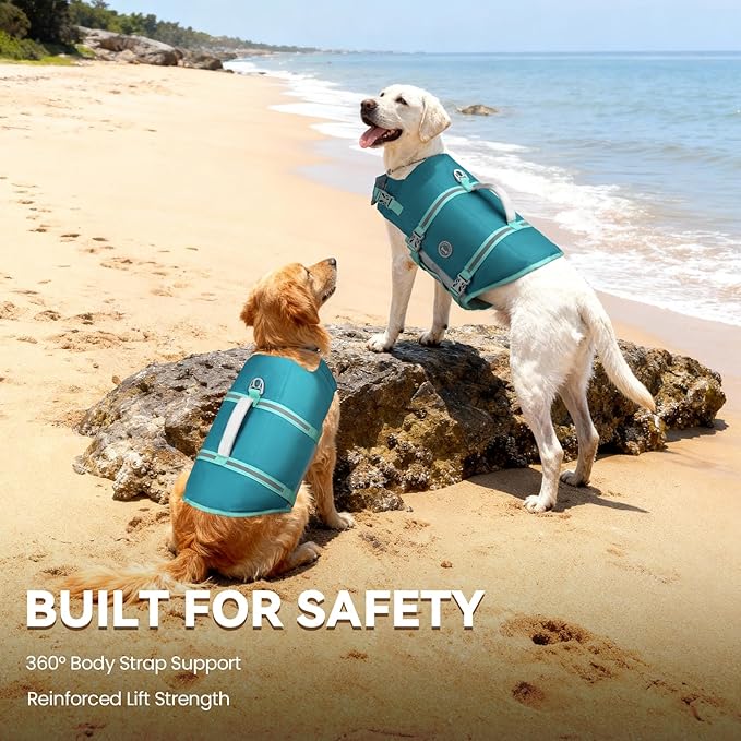 VIVAGLORY Rip Stop Dog Life Vest, Swimming Vest with Handle, Buoyancy for Doggy Puppy, Dog Life Jacket for Swimming & Boating, S, Turquoise