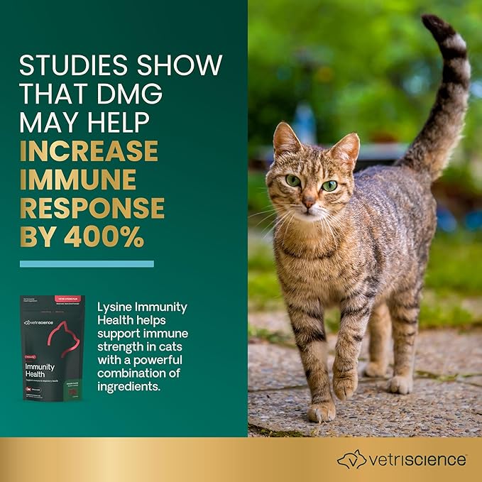 VetriScience Lysine Immunity Health Chews, 250 mg Lysine Plus Immune Supplement for Cats and Kittens with Allergies, Sneezing, Runny Nose and Watery Eyes, Chicken,90 Count (Pack of 2)
