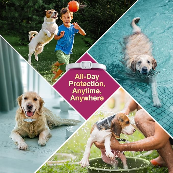 Natural Flea and Tick Collar for Dogs - 4 Pack, Waterproof, Adjustable Size for Small Medium and Large Dog