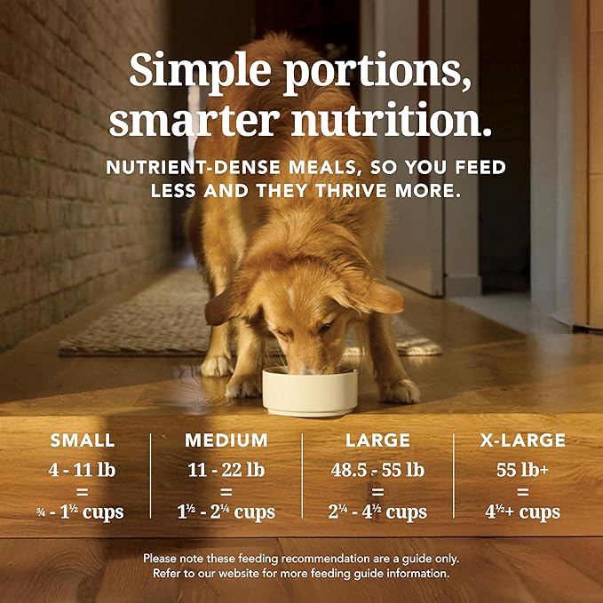 K9 Natural Beef Freeze Dried Dog Food, High-Meat Natural Complete Meal or Meal Toppers for Dogs, Grass-Fed Beef from New Zealand, Grain-Free, GMO-Free, Complete & Balanced Nutrition, 4lb