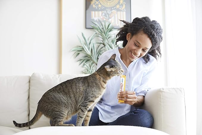 INABA Churu Cat Treats, Grain-Free, Lickable, Squeezable Creamy Purée Cat Treat/Topper with Vitamin E & Taurine, 0.5 Ounces Each Tube, 4 Tubes, Chicken with Cheese Recipe