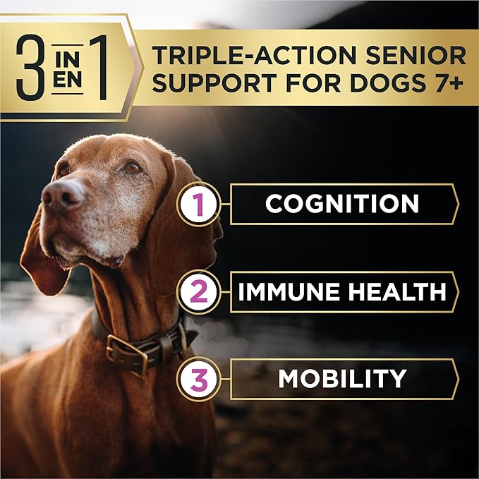 Purina Pro Plan AdvantEDGE Senior Support Plus Shredded Blend Chicken and Rice Formula Dry Dog Food - 3.5 lb. Bag
