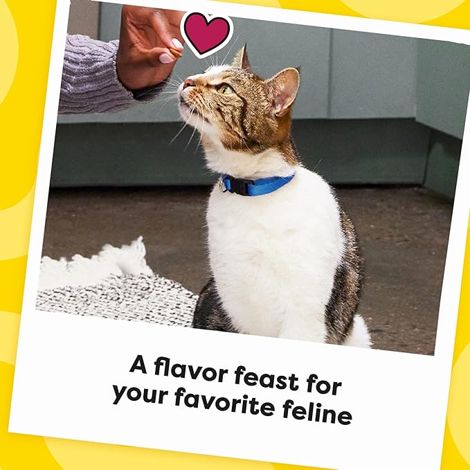 Temptations Cat Treats, Classic Crunchy and Soft Cat Treats, Catnip Fever Flavor, Catnip Treats, 30 oz. Tub