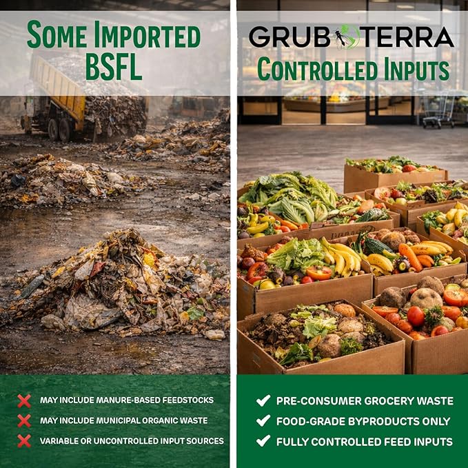 GrubTerra Black Soldier Fly Larvae for Chickens – Dried BSFL Poultry Treat, High Protein Calcium Feed Supplement for Laying Hens, Backyard Chickens, Sourced from Mexico, Not from China - 2LB