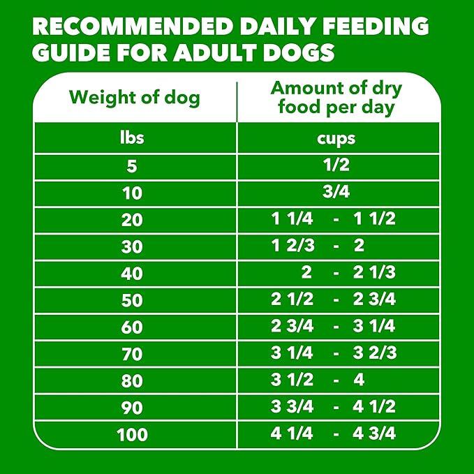 IAMS Proactive Health Adult Dry Dog Food Beef and Rice Recipe, 30 lb. Bag