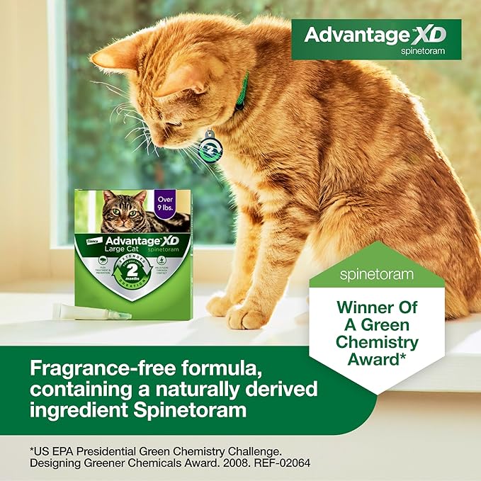 Advantage XD Large Cat Flea Prevention & Treatment For Cats over 9lbs. | 4-Topical Doses, 2-Months of Protection Per Dose