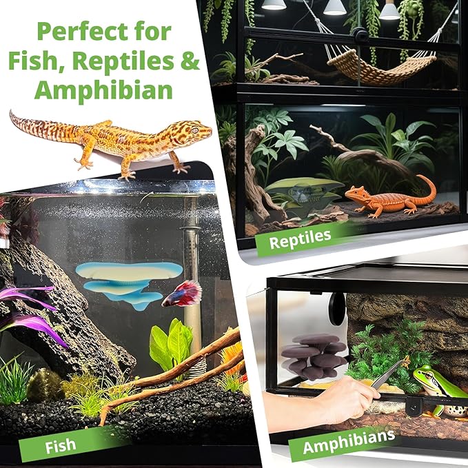 Mushroom Decor for Reptile Tank, Fish Tank, Pet-Safe Bearded Dragon Tank Accessories, Realistic Terrarium Plants for Leopard Geckos, Crested Geckos, Tree Frogs, Snakes (Forest, Cluster Cap)