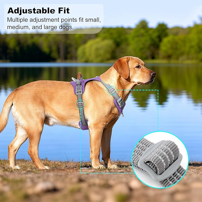 No Pull Dog Harness – Adjustable Reflective Nylon Vest for Small Medium Large Dogs, Escape Proof Training Harness with Leather Control Handle, Lightweight Aluminum Hardware (Purple, XL)