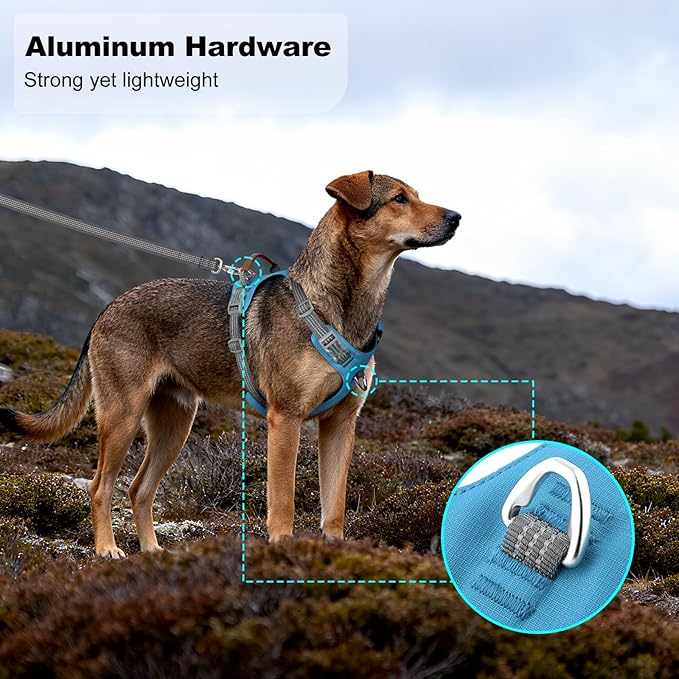 No Pull Dog Harness – Adjustable Reflective Nylon Vest for Small Medium Large Dogs, Escape Proof Training Harness with Leather Control Handle, Lightweight Aluminum Hardware (Cyan, M)