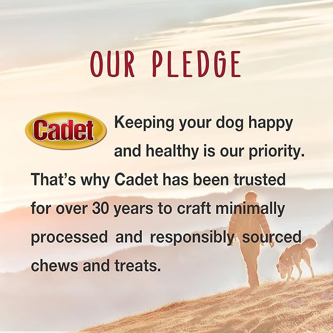 Cadet Gourmet Twists Sticks- Long Lasting & Natural Dog Treats for Large & Small Dogs Beef Hide & Duck - Inspected & Tested in USA (50 Count) (Pack of 2)