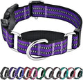 Hikiko Martingale Collar for Dogs Reflective Nylon Dog Collar with Quick Release Buckle Adjustable Training No Slip Dog Collar (X-Large, Purple)