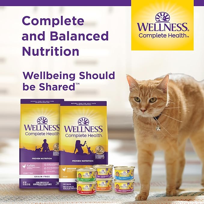 Wellness Complete Health Pate Adult Wet Cat Food, Natural, Protein-Rich, Grain Free, 5.5 Ounce, 24 Pack, (Chicken & Lobster)