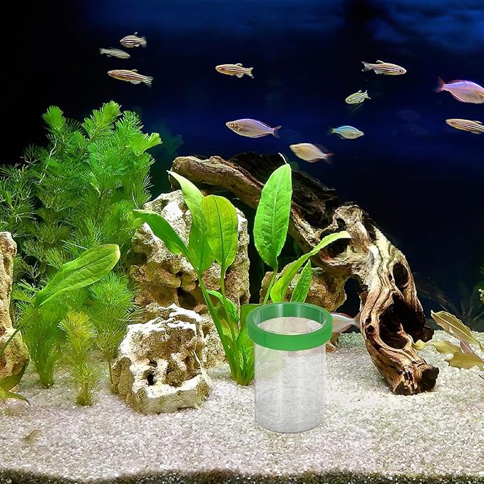 BESPORTBLE Small Green Aquarium Fish Breeding Box with Floating Egg Isolation Net Guppy Fry Incubation and Fish Tank Hatchery Divider