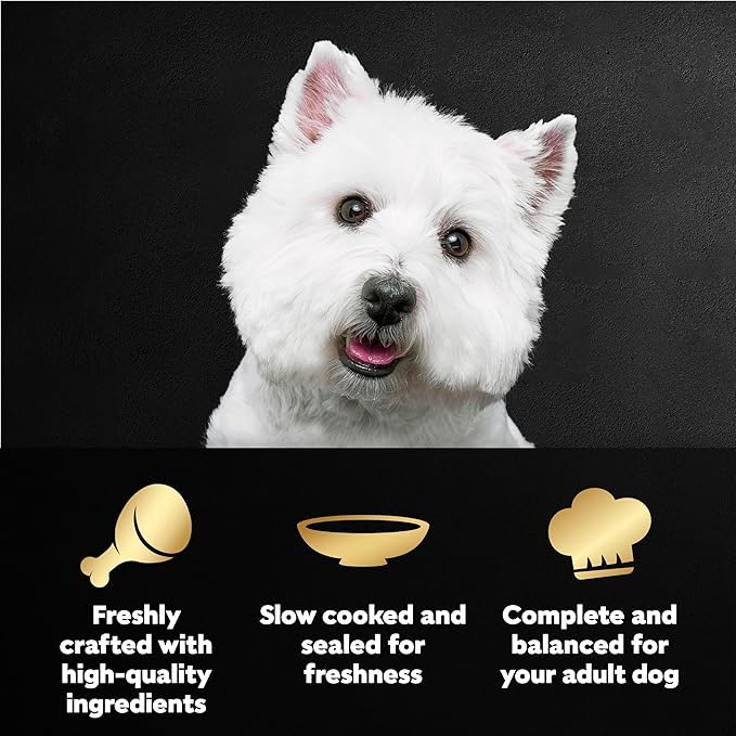 Cesar Filets in Gravy Wet Dog Food Filet Mignon Flavor and Rotisserie Chicken Flavor Variety Pack, Wet Food for Dogs, 1.76 oz. Mini-Pouches, 20 Count (Pack of 4)