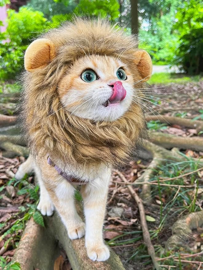 Lion Mane Wig for Cat, Funny Pet Cat & Puppy Costumes for Halloween & Christmas, Funny Pet Clothing Accessories (Small, Dark Brown)