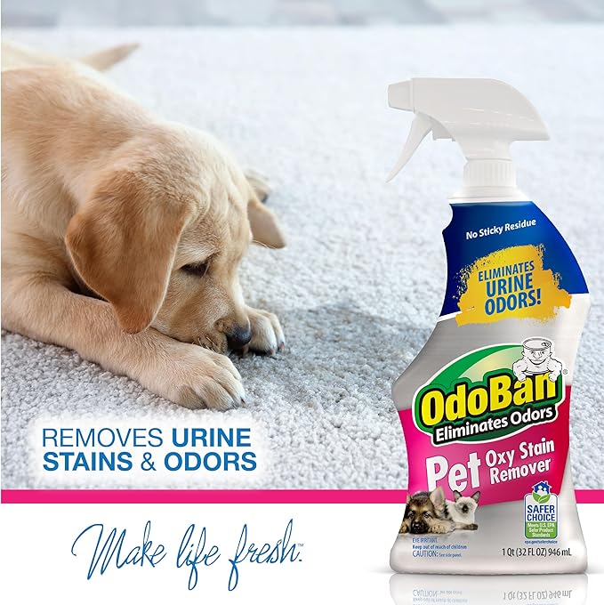 OdoBan Pet Solutions Oxy Stain Remover, Pet Stain Eliminator, 3-Pack, 32 Ounce Spray Each