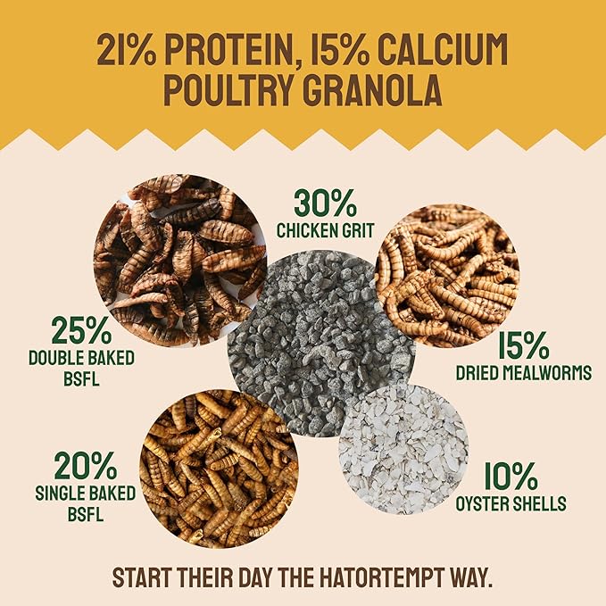 Hatortempt Chicken Feed Supplement - Non-GMO - Protein-Rich Mealworms, Black Soldier Fly Larvae & Oyster Shell - Calcium Grit Treats for Chickens - Egg Layer Feed Supplement (10 lb)