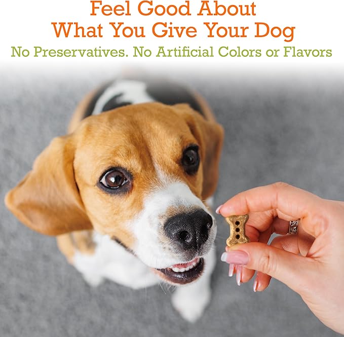 Riley's Peanut Butter Dog Biscuits - Organic & Crunchy Treats for Small Pets - Peanut Butter Dog Treats with Molasses - (12oz, Small)