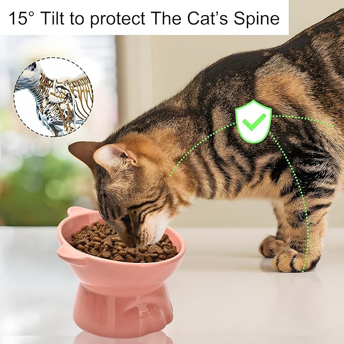 Elevated Cat Food Bowl,9 Oz Ceramic Raised and Tilted Water Bowl,Anti Vomiting and Protect Pets Spines Dishes for Fat Faced Cat, Indoor Cats,Kitten,Small Dog (Green)