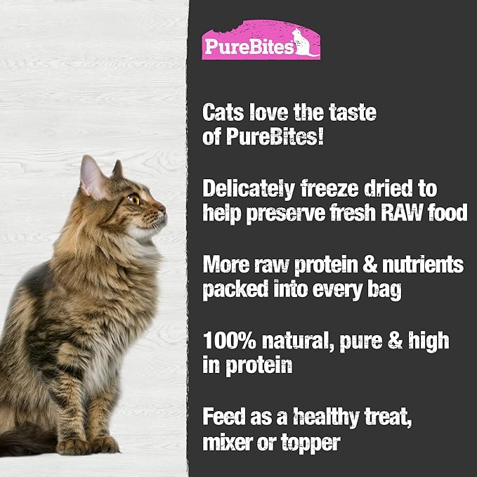 PureBites Salmon Freeze Dried Cat Treats, 1 Ingredient, Made in USA, 2oz