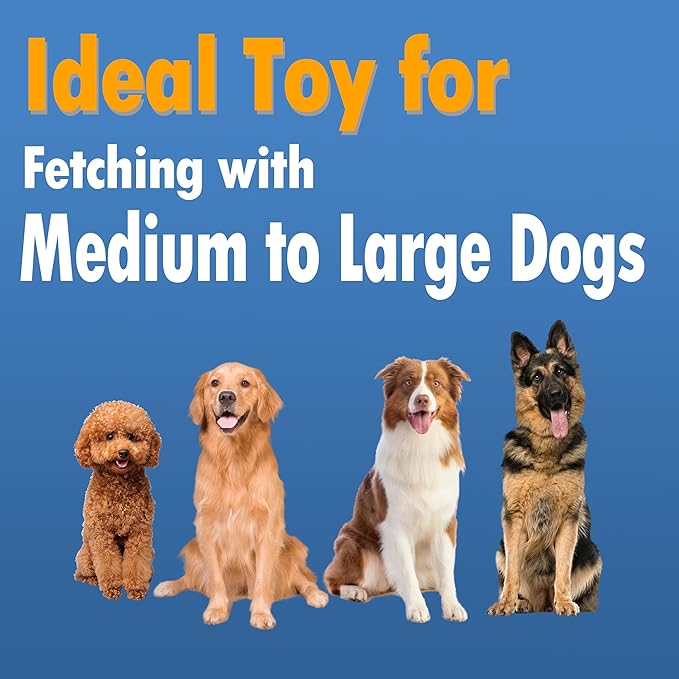 Dog Flying Disc, Outdoor Dog Toys, Dog Fetch Toy, Dog Toy for Medium Dogs and Large Dogs, Lightweight Soft Frisbee for Fetch, Tug of War, Catch, Play, 9 inch, Green