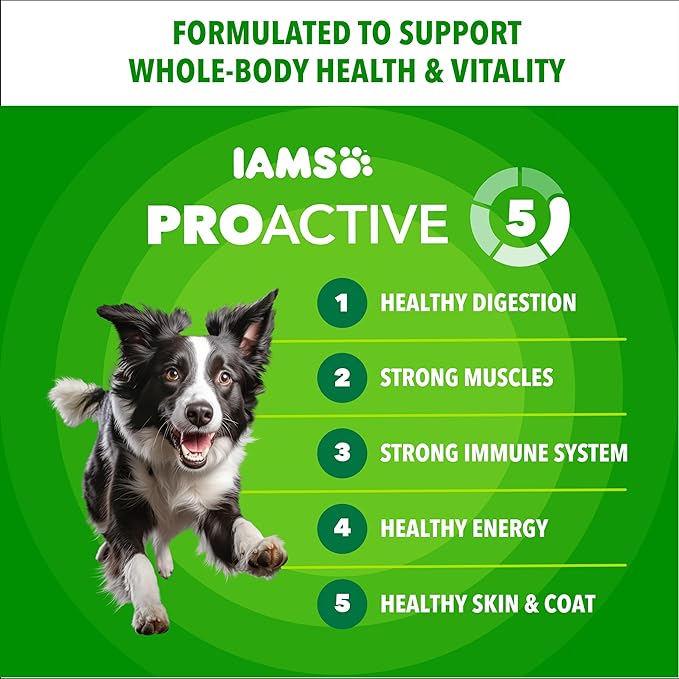 IAMS Proactive Health Adult Minichunks Dry Dog Food Chicken & Whole Grain Recipe, 40 lb. Bag
