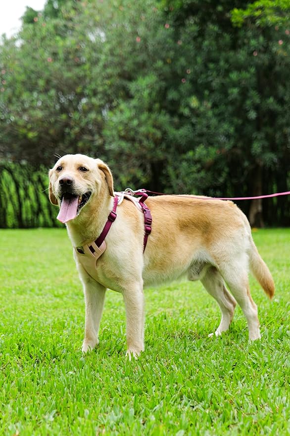 No Pull Dog Harness Leash and Collar Set, Soft Adjustable Dogs Vest Reflective and Comfortable Handle Pink Medium
