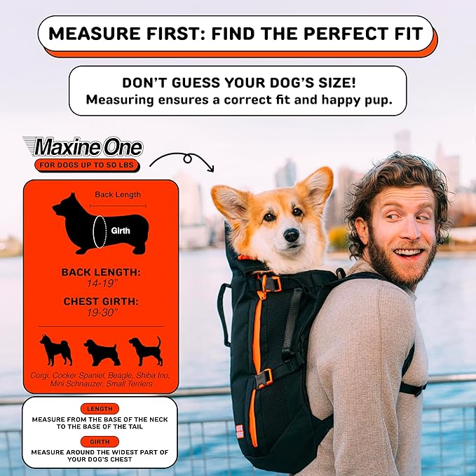 Maxine One Dog Backpack Carrier for Medium Dogs by Little Chonk | Adjustable & Ergonomic Front Facing Dog Carrier Backpack | Bult to be Safer | Pet Backpack Carrier, Featured in Wired Magazine - Black