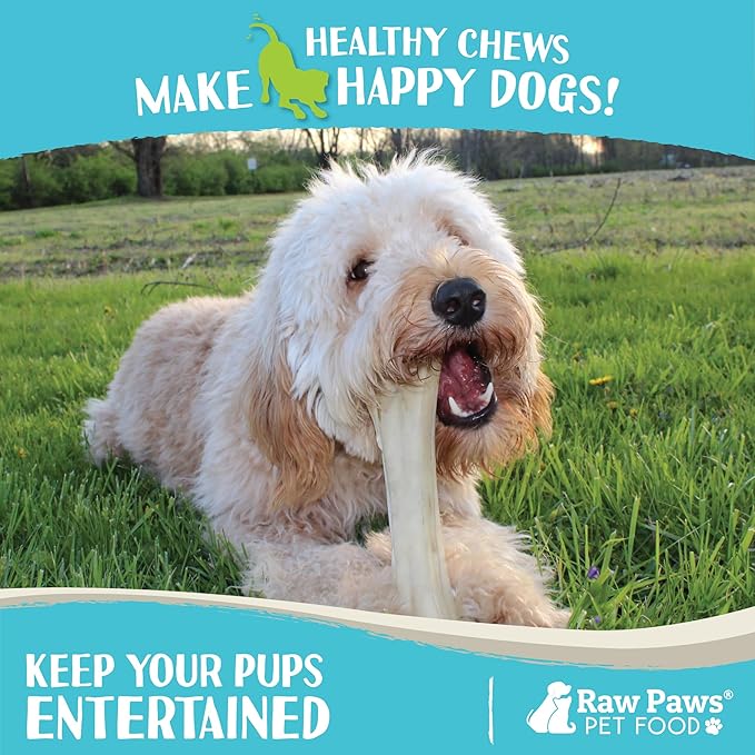 Raw Paws 10-inch Compressed Rawhide Bones for Dogs, 2-Count - Packed in USA - Long Lasting Dog Chews - Natural Pressed Rawhides - Large Dog Bones - Raw Hide for Aggressive Chewers