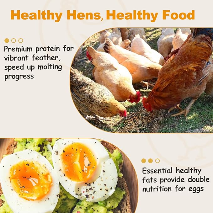 10LB Dried Mealworms, Non-GMO Meal Worms for Chickens & Birds, High Protein Chicken Feed, Natural Chicken Worms Ideal for Wild Birds, Reptile Tasty Bird Food