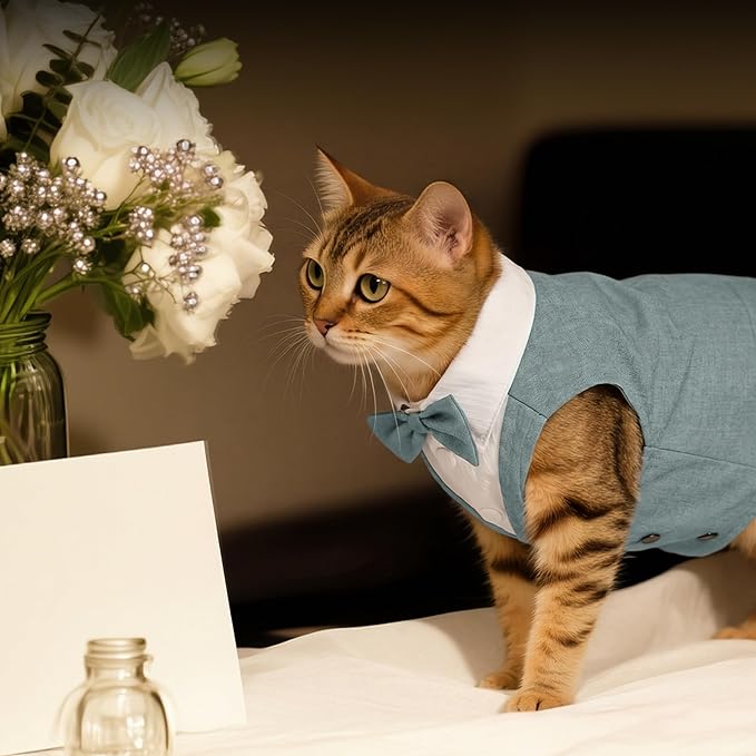 PUMYPOREITY Cat Tuxedo Suit Formal Wear with Bow Tie, Soft Skin-Friendly Cat Costumes for Cats Only, Elegant Outfit for Male Female Cats, Perfect for Wedding Birthday Photo Shoots, XS, Grey