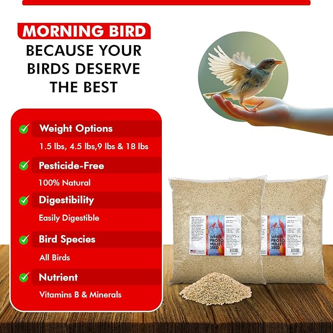 Morning Bird White Proso Millet 18 lbs (2-Pack, 9 lbs Each) Natural Bird Seed – Supports Feather Growth & Balanced Nutrition – High Energy Delicious Seed - Ideal for Finches, Parakeets & Pet Birds