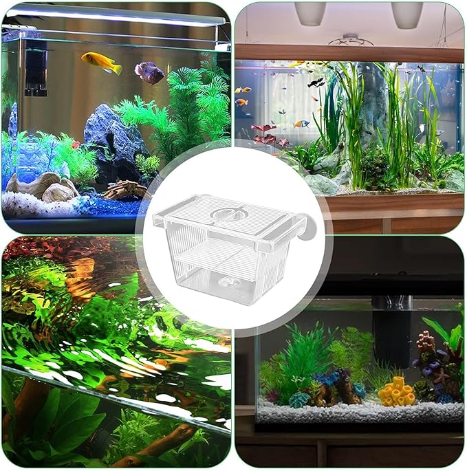 1/2 Fish Acclimation Box - Acrylic Hatchery Incubator Tank, Fish Breeder Box with 2 Suction Cups | Easily Install Breeding Isolation Box, Floating Breeding Box for Baby Fishes Shrimp Betta Guppy