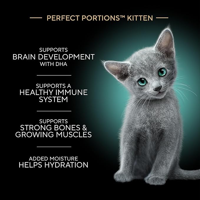 Sheba Perfect Portions Kitten Wet Food,Pate Cat Food Wet Entree,Salmon Recipe,2.6 oz. Twin-Pack Trays (,48 Servings),24 Count (Pack of 2)