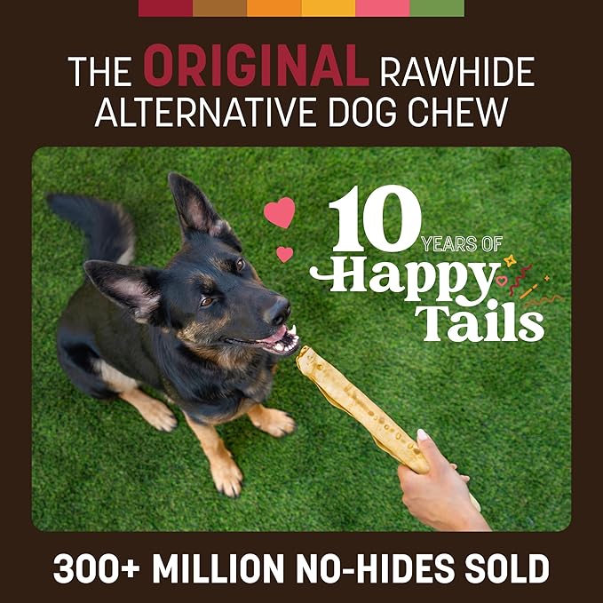 Earth Animal No Hide Chews - Long Lasting Rawhide Free Large Dog Chews Rolls, Beef - 2 Count