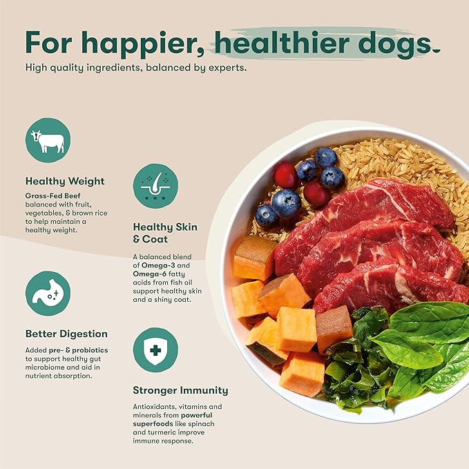 Jinx Premium Dry Dog Food, for All Lifestages - Real Beef, Brown Rice & Sweet Potato Kibble with Superfoods for Immune Support & Probiotics for Digestive Support - No Fillers - 4lb (Pack of 2)